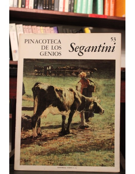 Segantini (Usado) Segantini (Usado)