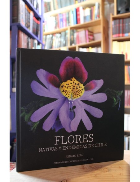 Flores nativas y endemicas de Chile (Usado)