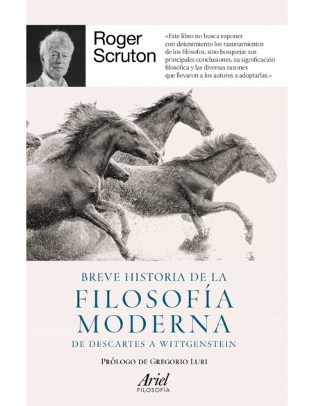 Breve historia de la filosofía moderna: de Descartes a Wittgenstein (Nuevo) Breve historia de la filosofía moderna: de Descartes a Wittgenstein (Nuevo)