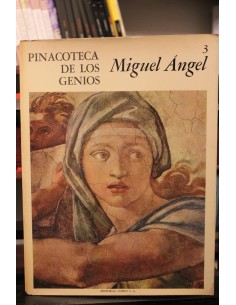 Miguel Ángel (Usado)
