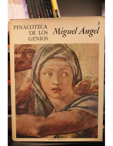 Miguel Ángel (Usado) Miguel Ángel (Usado)