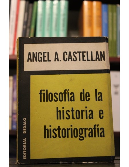 Filosofía de la historia e historiografía (Usado) Filosofía de la historia e historiografía (Usado)