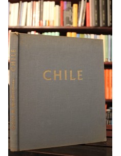 Chile. En 235 cuadros (Usado)