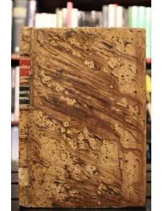 Manual de los estudios griegos y latinos (Usado)