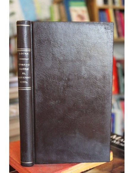 Ensayo sobre el gobierno civil (Usado)