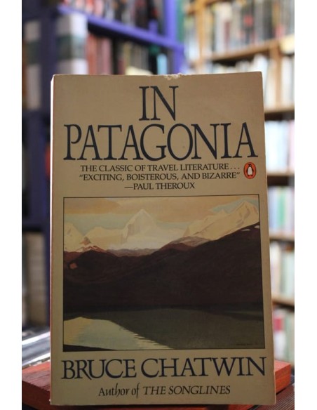 In patagonia (Usado)