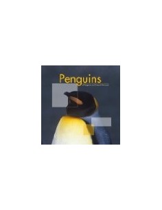 Penguins. Pingüinos (Usado)