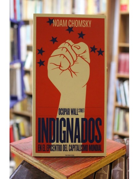 Indignados en el epicentro del capitalismo  mundial (Usado)