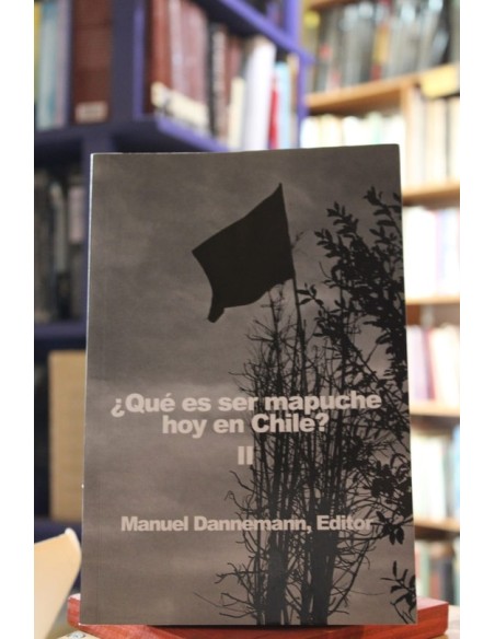 ¿Que es ser mapuche hoy en Chile? II (Usado)