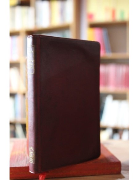 Nuevo testamento (Usado)