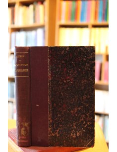 El chirrión de los políticos (Usado)