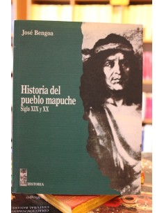 Historia del pueblo mapuche. Siglo XIX y XX (Usado)