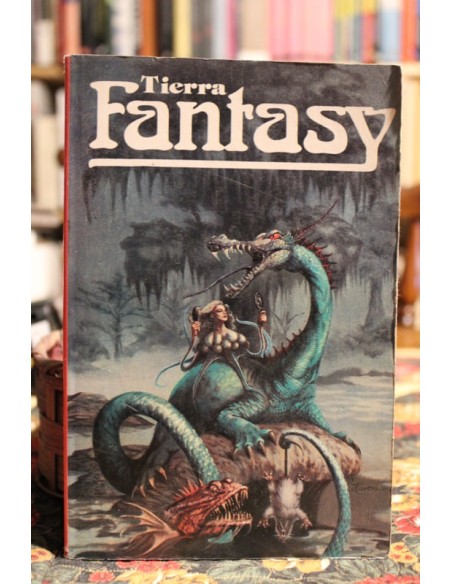 Tierra Fantasy. Tomo 2 (Usado)