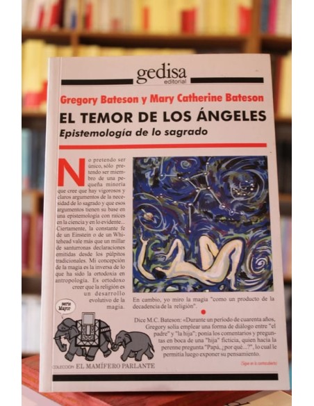 El temor de los ángeles (Usado)