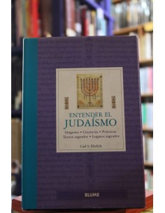 Entender el judaísmo (Usado)