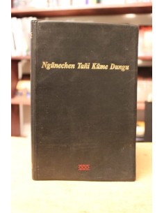 El nuevo testamento en mapudungun (Usado)