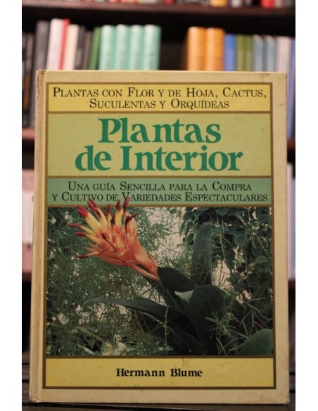 Plantas de Interior (Usado) Plantas de Interior (Usado)