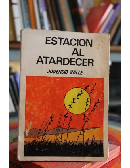 Estación al atardecer (Usado) Estación al atardecer (Usado)