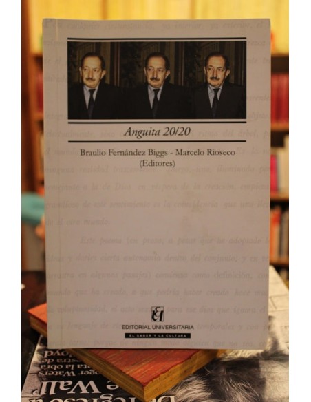 Anguita 20/20 (Usado) Anguita 20/20 (Usado)