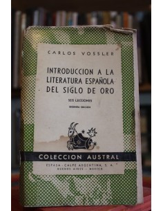 Introducción a la literatura española de siglo de oro (Usado)