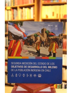 Segunda medición del estado de los objetivos de desarrollo del milenio de la población indígena en C (Usado)