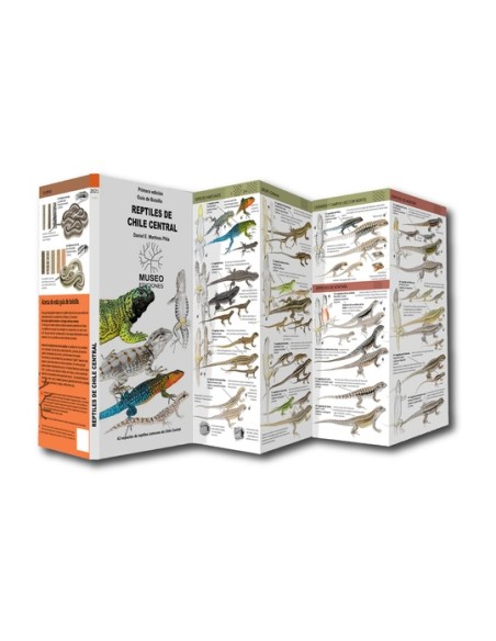 Reptiles de Chile Central Desplegable (Nuevo) Reptiles de Chile Central Desplegable (Nuevo)