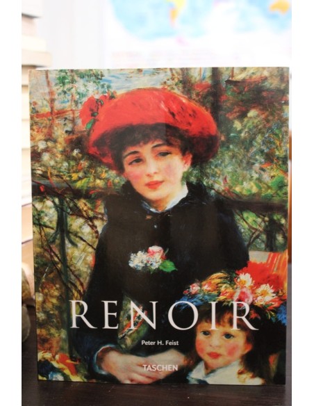 Renoir (Usado) Renoir (Usado)