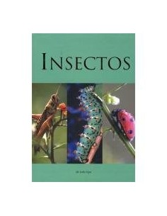 Insectos de todo tipo (Nuevo)