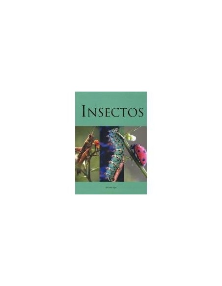 Insectos de todo tipo (Nuevo) Insectos de todo tipo (Nuevo)