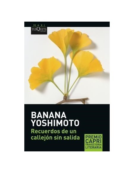 Recuerdos de un callejón sin salida (Nuevo) Recuerdos de un callejón sin salida (Nuevo)