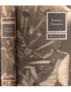 Botánica Pintoresca (Usado)