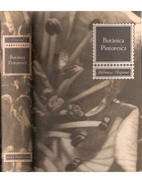 Botánica Pintoresca (Usado)