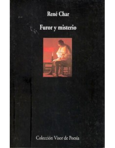 Furor y misterio (Usado)