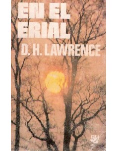 En el erial. (Usado)