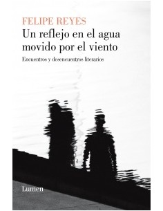 Un reflejo en el agua movido por el viento (Usado)
