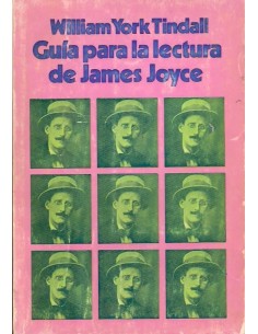 Guía para la lectura de James Joyce (Usado)