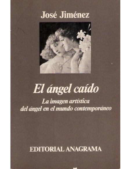 El ángel caído (Usado) El ángel caído (Usado)