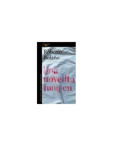Una novelita lumpen (Alfaguara) (Nuevo)