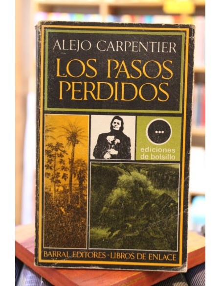 Los pasos perdidos (Usado) Los pasos perdidos (Usado)