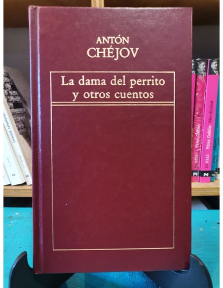 La dama del perrito y otros cuentos (Usado) La dama del perrito y otros cuentos (Usado)