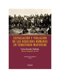Expoliación y violación de los derechos humanos en territorio mapunche (Usado)