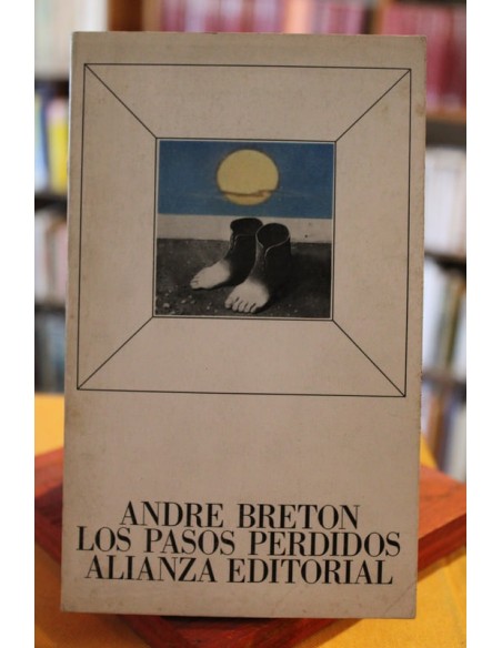 Los pasos perdidos (Usado)