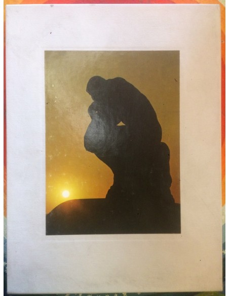 The world of Rodin (Usado) The world of Rodin (Usado)