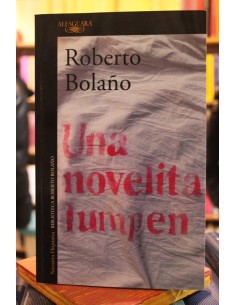 Una novelita lumpen (Usado)