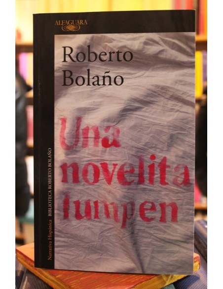 Una novelita lumpen (Usado)