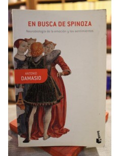 En busca de Spinoza (Usado)