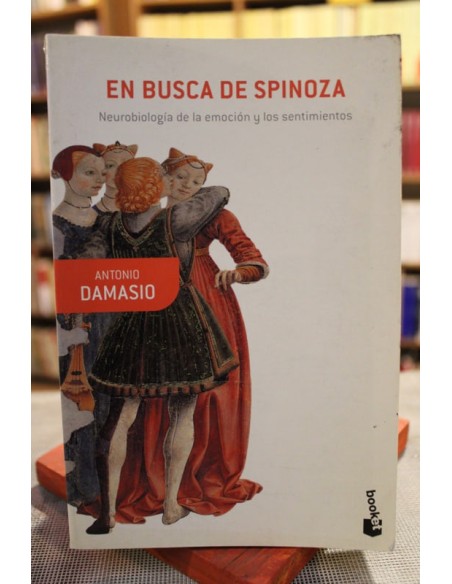 En busca de Spinoza (Usado)