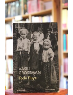 Todo fluye (Usado)