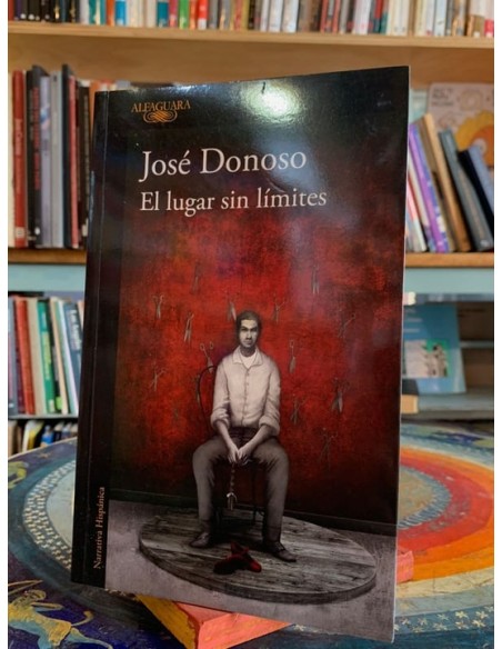 El lugar sin límites (Usado) El lugar sin límites (Usado)