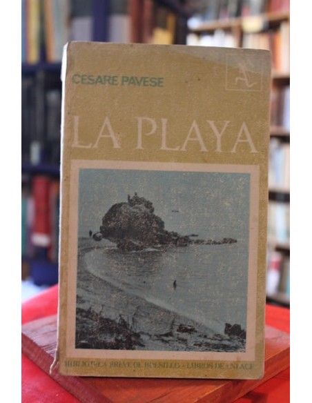 La playa (Usado) La playa (Usado)